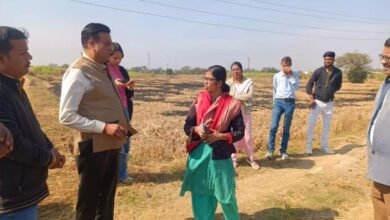 ग्रीष्मकालीन