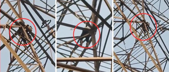 शादी से इनकार के बाद युवक ने हाई टेंशन टावर पर चढ़कर किया हंगामा, तीन घंटे बाद सुरक्षित उतारा गया 1 शादी