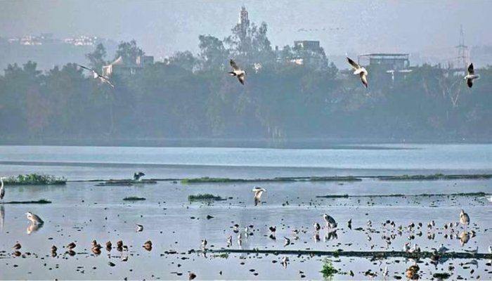 मध्य प्रदेश में शीतलहर का असर तेज, हार्ट और सांस के मरीजों के लिए बढ़ा खतरा 1 शीतलहर