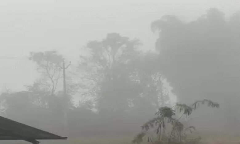 Chhattisgarh Weather Update, Cold Wave in Chhattisgarh, Raipur Weather Today, Chhattisgarh Rain Alert, Dense Fog Alert, Winter Season Chhattisgarh, Weather Forecast CG, Cold Wave Alert India, Raipur Temperature Today, CG Weather News,