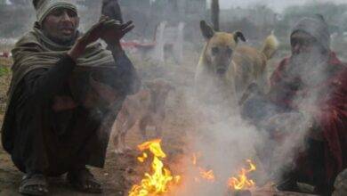 CG Weather Update: उत्तरी और मध्य छत्तीसगढ़ में दो दिन बाद बढ़ेगा पारा, ठंड से मिलेगी हल्की राहत 2 CG Weather Update, Chhattisgarh Weather Today, Raipur Weather, Cold Wave Chhattisgarh, Temperature Rise CG, North Chhattisgarh Weather, Central Chhattisgarh Weather, IMD Forecast CG, Winter Weather Update, Ambikapur Cold, Raipur Temperature,