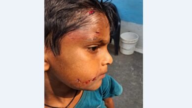 Danger In School Premises: स्कूल परिसर बने खतरे का मैदान,हाईकोर्ट ने मांगा जवाब 4 Danger In School Premises