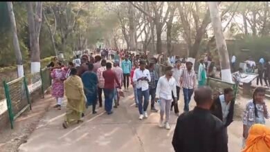IMG 7262