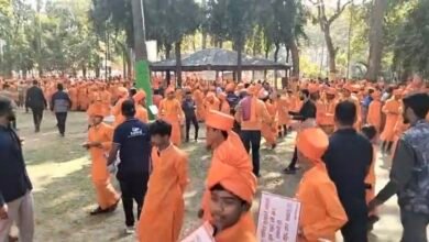 चेतना महोत्सव के दौरान मधुमक्खियों का हमला, मची अफरा-तफरी 10 IMG 7847