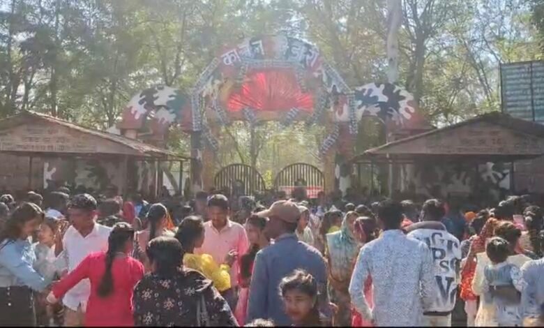 कानन पेंडारी जू में नील गायों की खूनी भिड़ंत, एक नर नील गाय गंभीर घायल 1 IMG 8327