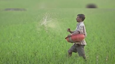 Master Plan To Save Groundwater