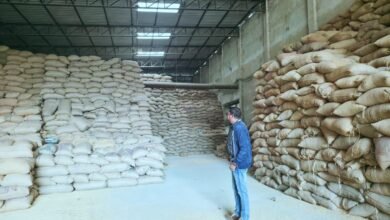 Rice Scam Proceedings