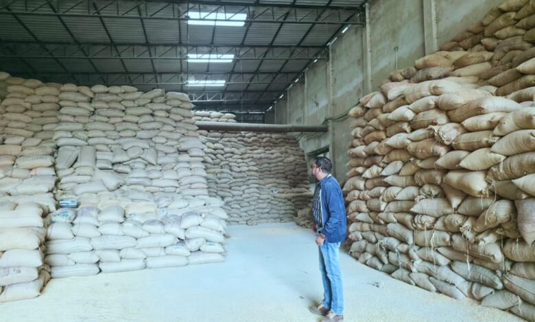 Rice Scam Proceedings