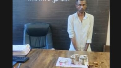 The Thief Was Arrested