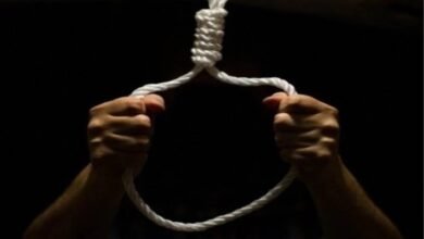 befunky 2026 0 4 11 12 4