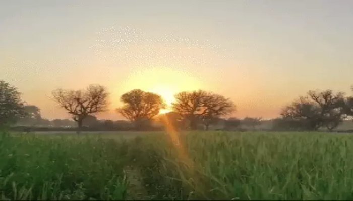 छत्तीसगढ़