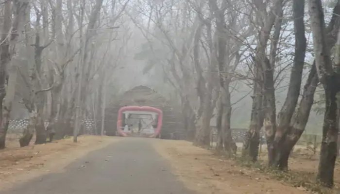 पेंड्रा
