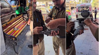 चाइना डोर की चपेट में फंसे कबूतर की पुलिस ने बचाई जान, वीडियो वायरल 2 image 3 12