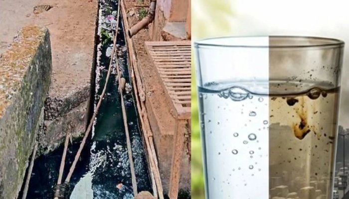 छत्तीसगढ़