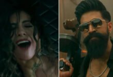 टॉक्सिक