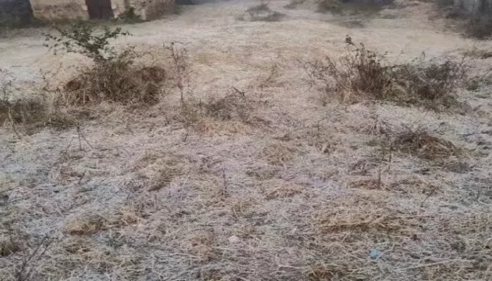 छत्तीसगढ़