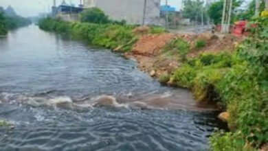 नदियों में गिर रहे गंदे नालों पर सरकार सख्त, नगरीय निकायों से मांगी पूरी रिपोर्ट 9 नदियों