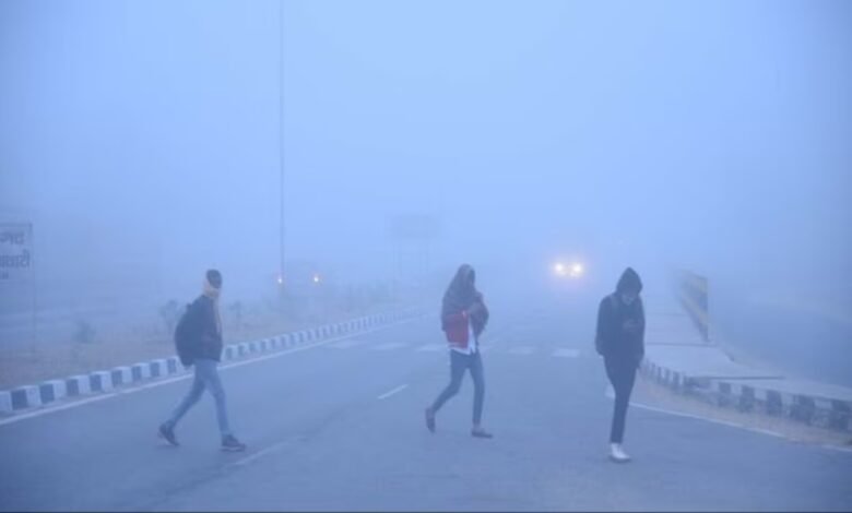 Chhattisgarh Weather, Cold Wave Relief, Western Disturbance Effect, Raipur Weather Update, January 2026 Weather, CG Minimum Temperature, CG Maximum Temperature, Makar Sankranti Sun Effect, Night Temperature Chhattisgarh, Manpat Weather, Balrampur Weather,