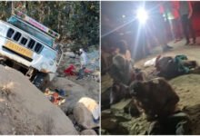 рд╕рдЧрд╛рдИ рд╕реЗ рд▓реМрдЯ рд░рд╣реА рдкрд┐рдХрдЕрдк рдЦрд╛рдИ рдореЗрдВ рдЧрд┐рд░реА, рдЪрд╛рд░ рдХреА рдореМрдд, рджрд╕ рд╕реЗ рдЕрдзрд┐рдХ рдШрд╛рдпрд▓ 26 BeFunky photo 10