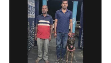 Brave Vimala: बिलासपुर में पुलिस डॉग 'विमला' का कमाल, 10 किलोमीटर दूर जंगल से खोज निकाला लापता ग्रामीण 2 Brave Vimala