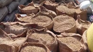 Paddy procurement policy