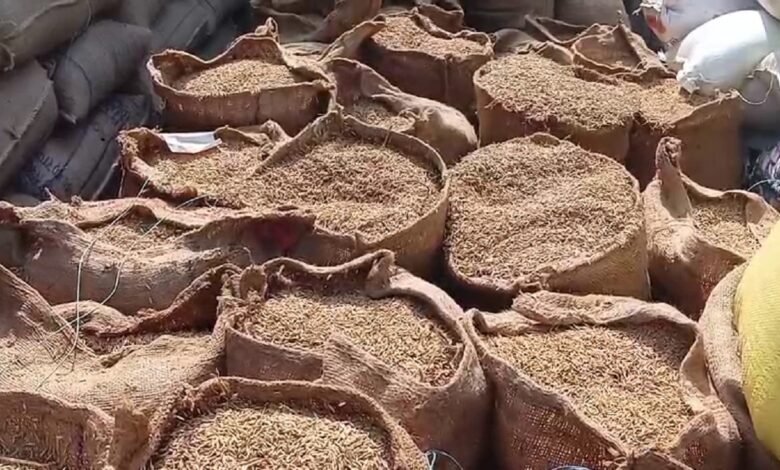Paddy procurement policy