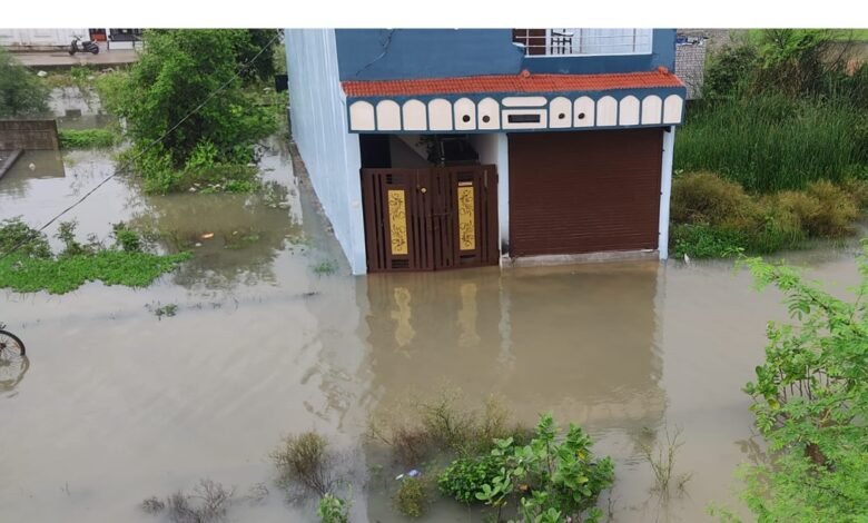 Waterlogging problem: वार्ड 13 की यादव गली में जलभराव से बढ़ी परेशानी, सीसी रोड व बिजली खंभों की मांग तेज 1 Waterlogging problem