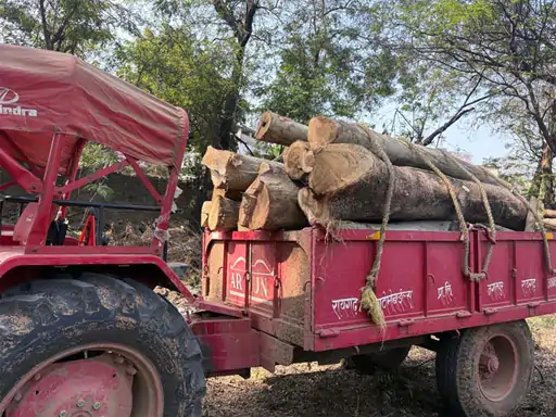 21 दिन में वन विभाग की बड़ी कार्रवाई: रायगढ़ में अवैध लकड़ी और पत्थर ढोते 6 ट्रैक्टर जब्त, 6 आरोपी गिरफ्तार 1 विभाग