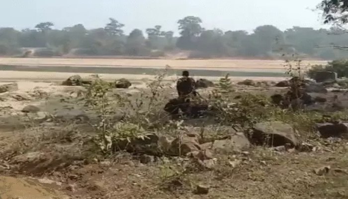 ब्राह्मण