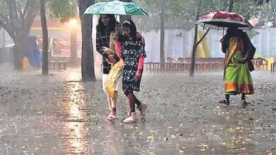 Weather Update, North India Weather, Cold Wave End, Temperature Rise, Rain Alert, Thunderstorm Warning, Delhi NCR Weather, UP Weather, Bihar Weather, Rajasthan Weather, Haryana Weather, Punjab Weather, Uttarakhand Weather, Himachal Weather,