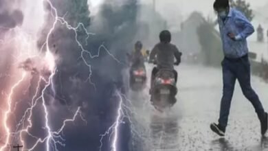 weather update India, rain alert North India, IMD weather forecast, Delhi weather update, UP weather forecast, western disturbance India, February weather India, rain alert 2026, North India rain news, India weather today, storm alert India,