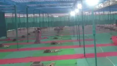 सामूहिक