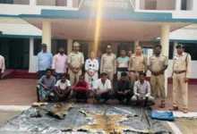 1004373601 1773784490