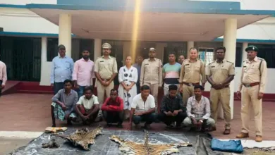 1004373601 1773784490