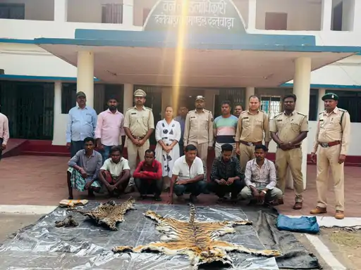 1004373601 1773784490