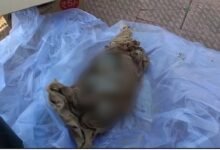 Dead body of a newborn