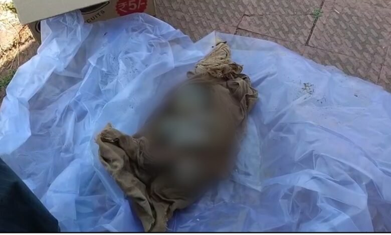 Dead body of a newborn