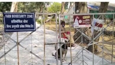 Death of 5,000 Chickens