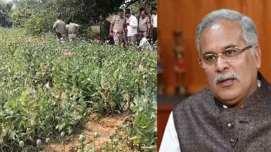 छत्तीसगढ़ में अफीम खेती पर सियासत तेज: भूपेश बघेल ने सरकार पर लगाए गंभीर आरोप 1 IMG 0573