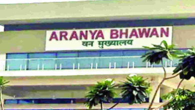 छत्तीसगढ़ वन विभाग में बड़ा फेरबदल, कई वरिष्ठ IFS अधिकारियों के प्रभार बदले 2 IMG 0908