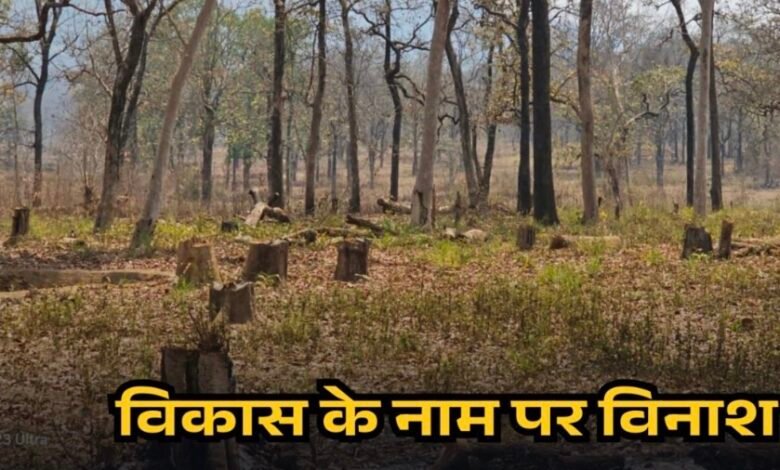 बीजापुर में सड़क निर्माण पर विवाद, बिना अनुमति पेड़ कटाई के आरोप, जांच के आदेश 1 IMG 0940