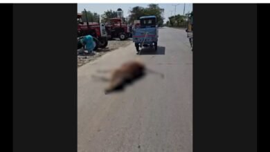 Inhumane treatment of cattle: рдиреНрдпрд╛рдп рдХреА рджрд╣рд▓реАрдЬ рдХреЗ рдкрд╛рд╕ рд╕рд░реЗрдЖрдо рд╢рд░реНрдорд╕рд╛рд░ рд╣реБрдИ рдЗрдВрд╕рд╛рдирд┐рдпрдд тАЛрд╕рд╡рд╛рд▓реЛрдВ рдХреЗ рдШреЗрд░реЗ рдореЗрдВ рдкреНрд░рд╢рд╛рд╕рди 2 Inhumane treatment of cattle