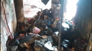 Screenshot 2026 03 23 170706