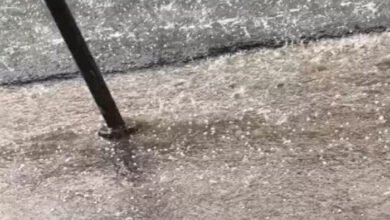 अंधड़-बारिश और ओलावृष्टि से बदला मौसम, तापमान में गिरावट; अगले 2 दिन तक अलर्ट 1 image 2 20