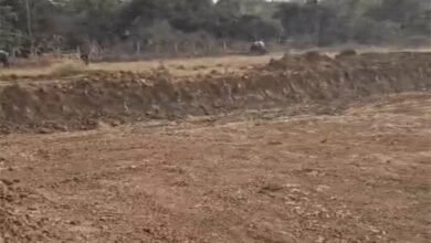 4.93 करोड़ के स्विमिंग पूल निर्माण पर सवाल, दिशा गलत होने से नेशनल आयोजन पर संकट 5 image 2 25