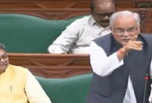 विधानसभा