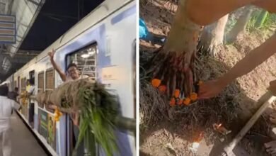 Mumbai Local Train, Holika Dahan, Tree Trunk on Train, Virar to Mahim, Western Railway, RPF Action, Passenger Safety, Viral Video Mumbai, Railway Act Case,