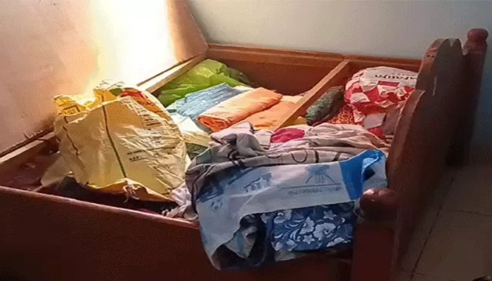 बिलासपुर में हथियारबंद गिरोह की दहशत: सूने मकानों को बना रहे निशाना, CCTV में कैद वारदात 1 image 3 17