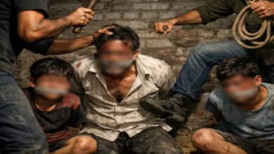 हाईकोर्ट