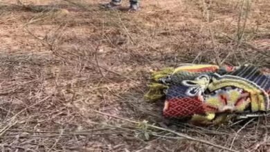 मानसिक रूप से बीमार पत्नी की गला घोंटकर हत्या, मां को खाना न देने पर पति ने रची साजिश 3 बीमार